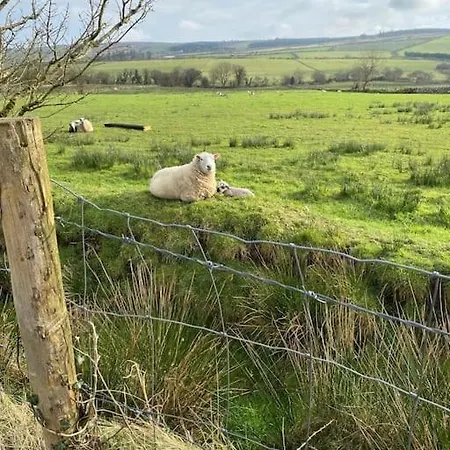 Keadyville House Self-catering 別荘 *