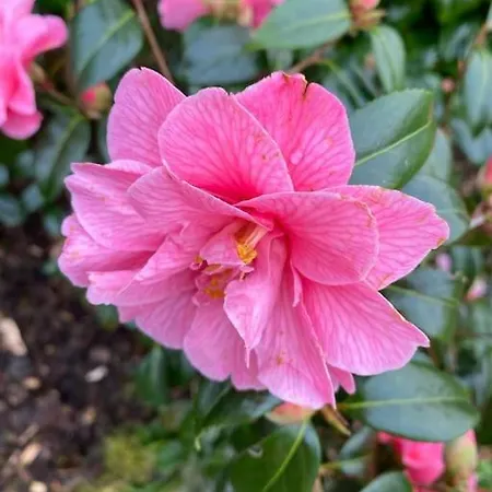 Keadyville House Self-catering Ballycastle (Mayo)