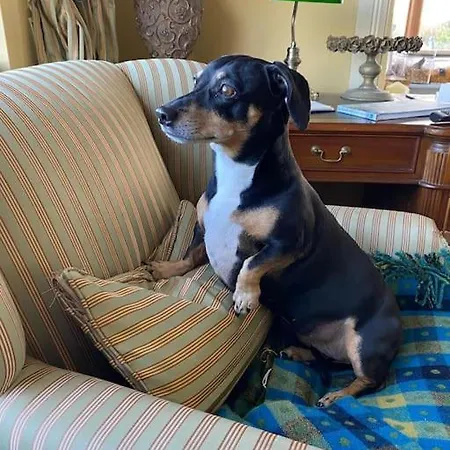 Keadyville House Self-catering