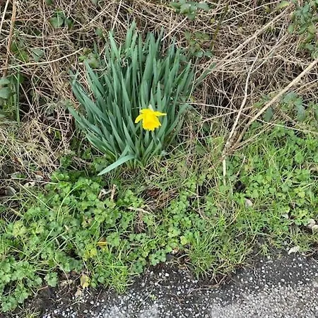 別荘 Keadyville House Self-catering