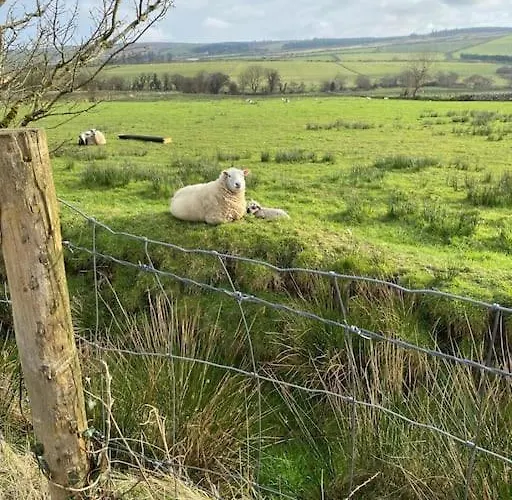 Keadyville House Self-catering Feriehus *