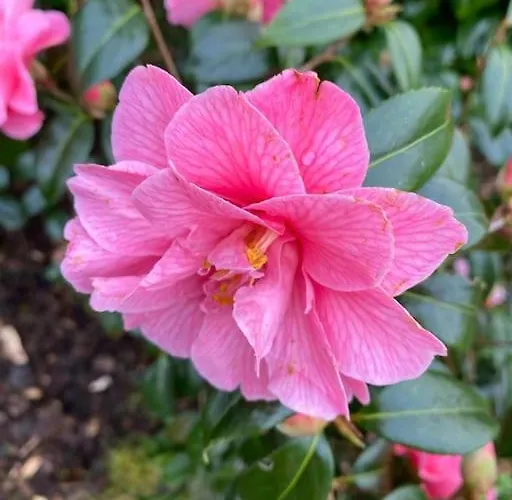 Keadyville House Self-catering Ballycastle (Mayo)