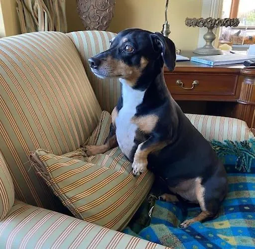 Keadyville House Self-catering