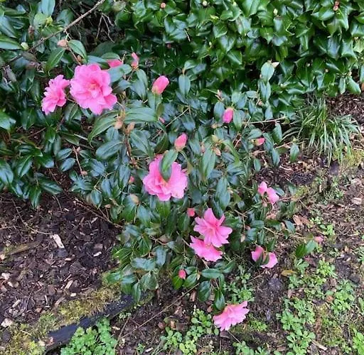 Keadyville House Self-catering