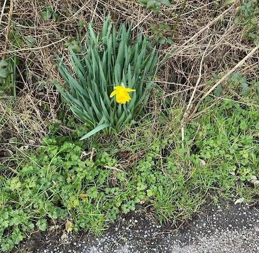 Feriehus Keadyville House Self-catering